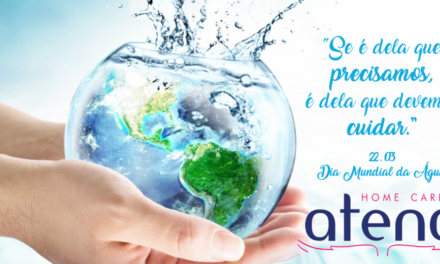 Dia Mundial da Água (ONU)
